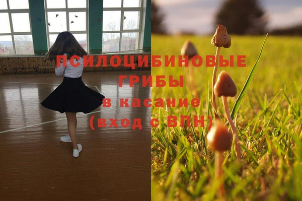экстази Михайловск