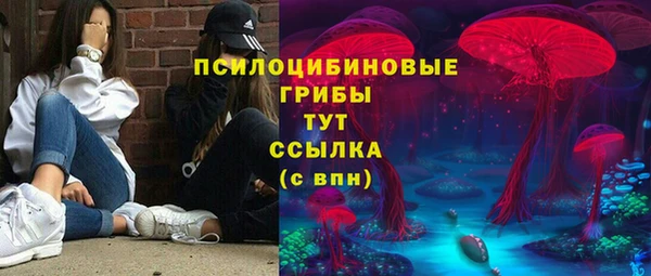 apvp Вязники
