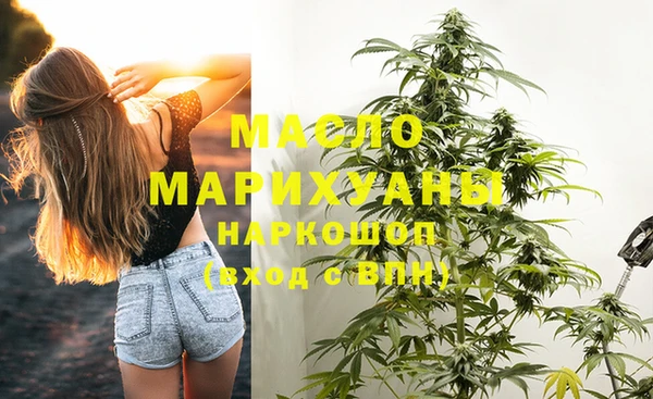 соль ск Михайлов
