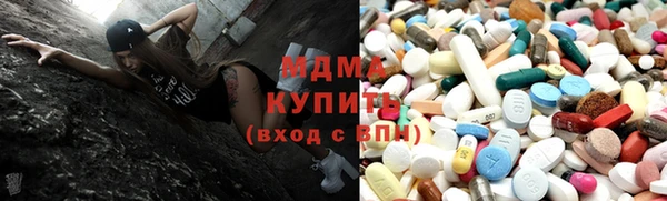 индика Елабуга