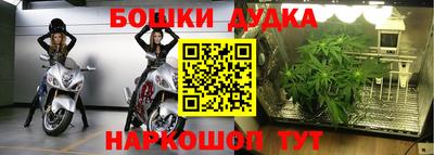 гидропоника Гагарин