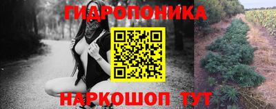 гидропоника Гатчина