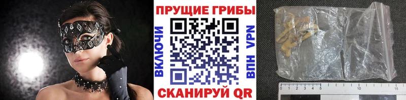 omg tor  где найти   Анжеро-Судженск  Псилоцибиновые грибы MAGIC MUSHROOMS 