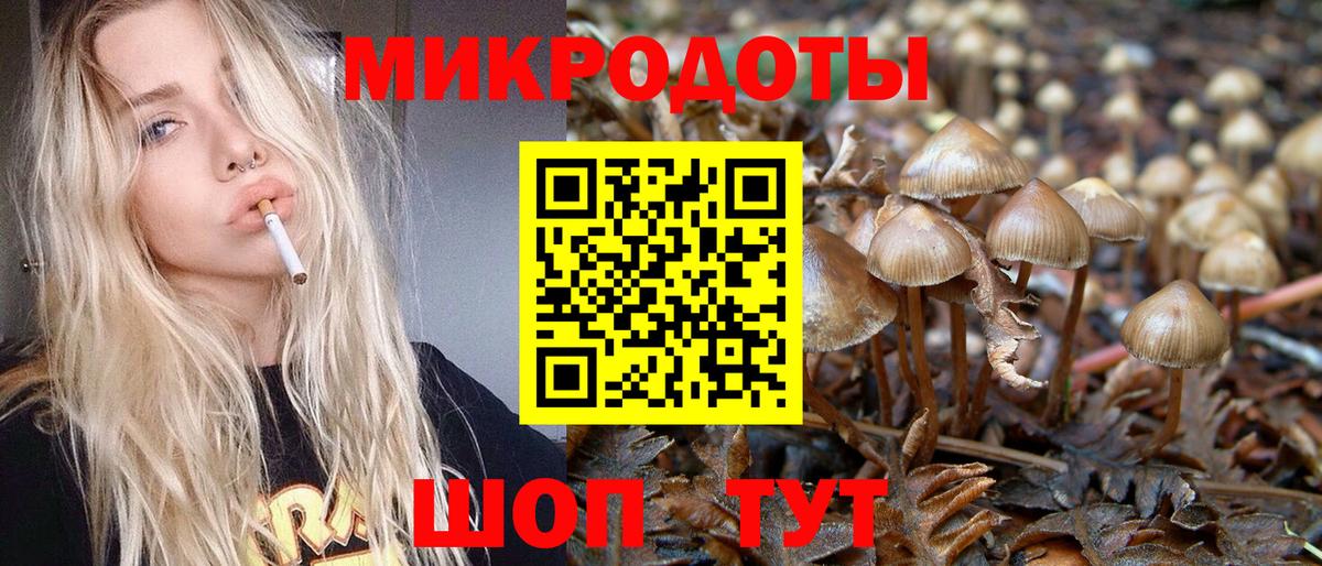 цены наркотик  Псилоцибиновые грибы Psilocybe  Вход с VPN  Анжеро-Судженск  Галлюциногенные грибы прущие грибы 