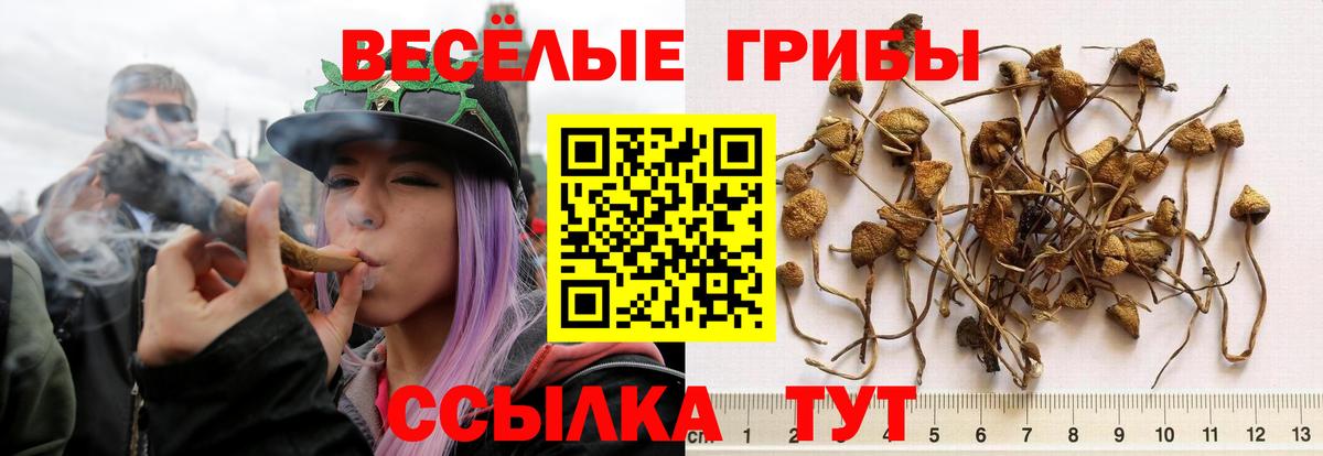 Псилоцибиновые грибы Magic Shrooms Анжеро-Судженск